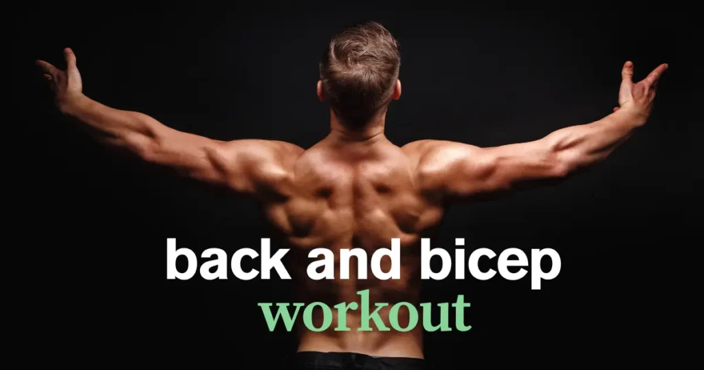 back and bicep workout