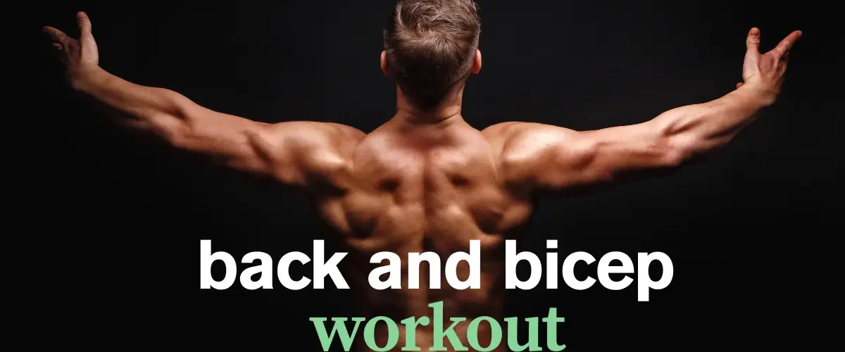 back and bicep workout